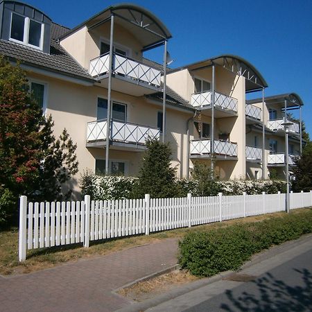 Studio 2 Im Eg Haus Stranddistel, Geschmackvoll Eingerichtete Ferienwohnung Fur 2 Personen In 青斯特 外观 照片